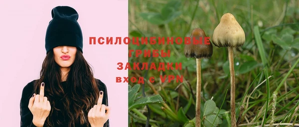 амф Новокубанск