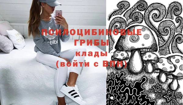 амф Новокубанск