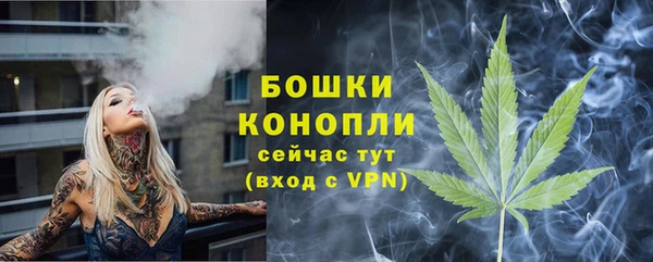 амф Новокубанск