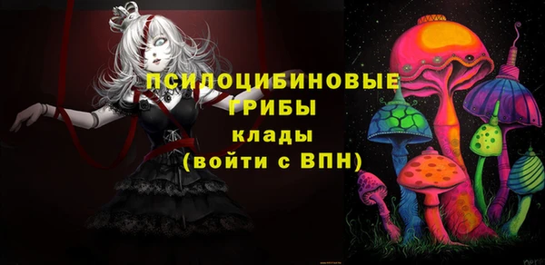 ешки Нефтегорск