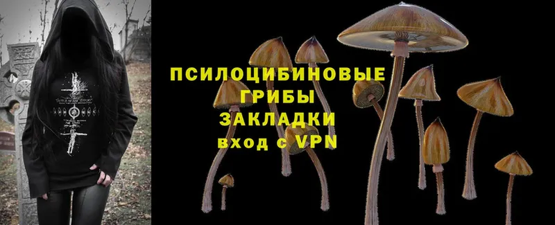 Галлюциногенные грибы Magic Shrooms  Михайловск 