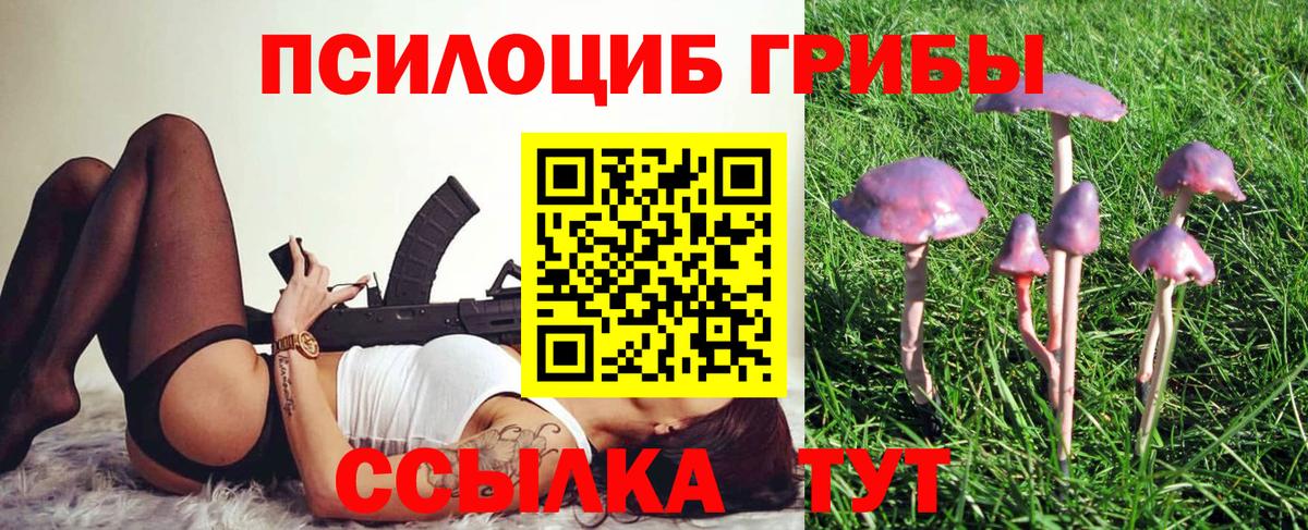 Галлюциногенные грибы Psilocybine cubensis  Галлюциногенные грибы мицелий  Михайловск  Вход с VPN 