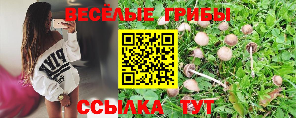 Галлюциногенные грибы GOLDEN TEACHER Михайловск