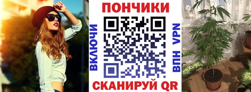 Шишки марихуана сатива  что такое наркотик  нарко площадка формула  Михайловск 
