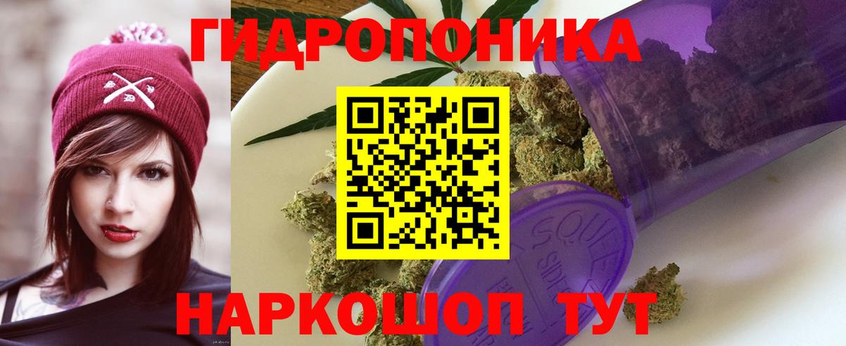 Канабис конопля  Каннабис THC 21%  Вход с VPN  Марихуана марихуана  МАРИХУАНА OG Kush  Михайловск 